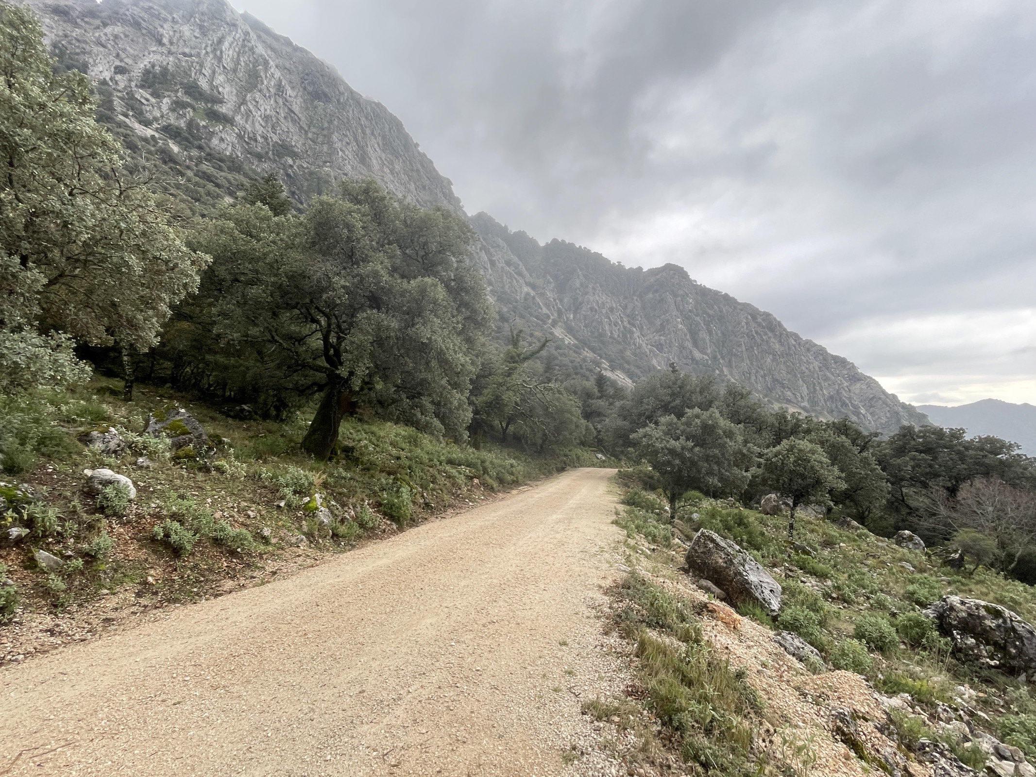 High on the ridge during the 40km Grazalema traverse