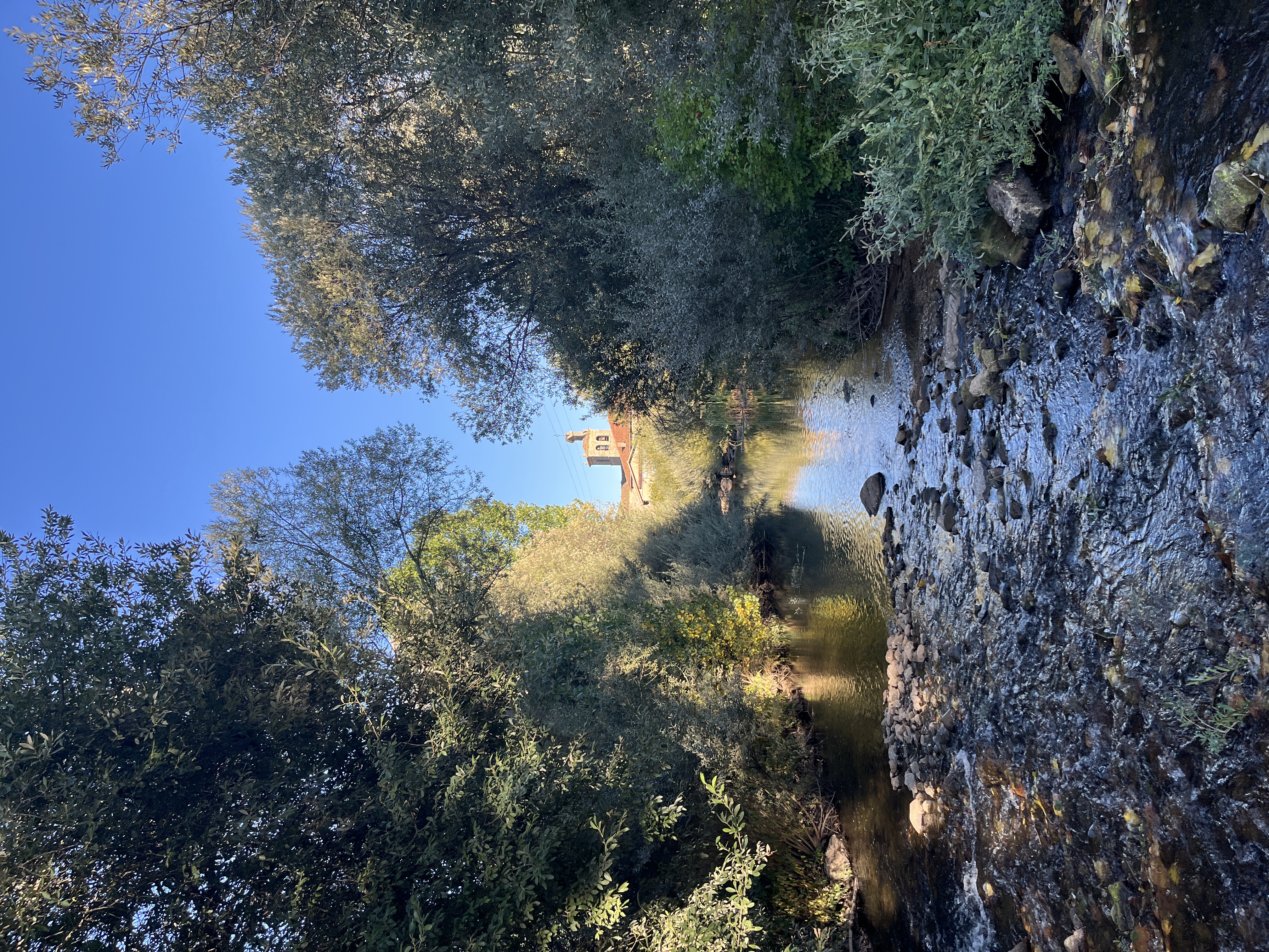 Molinos de Duero